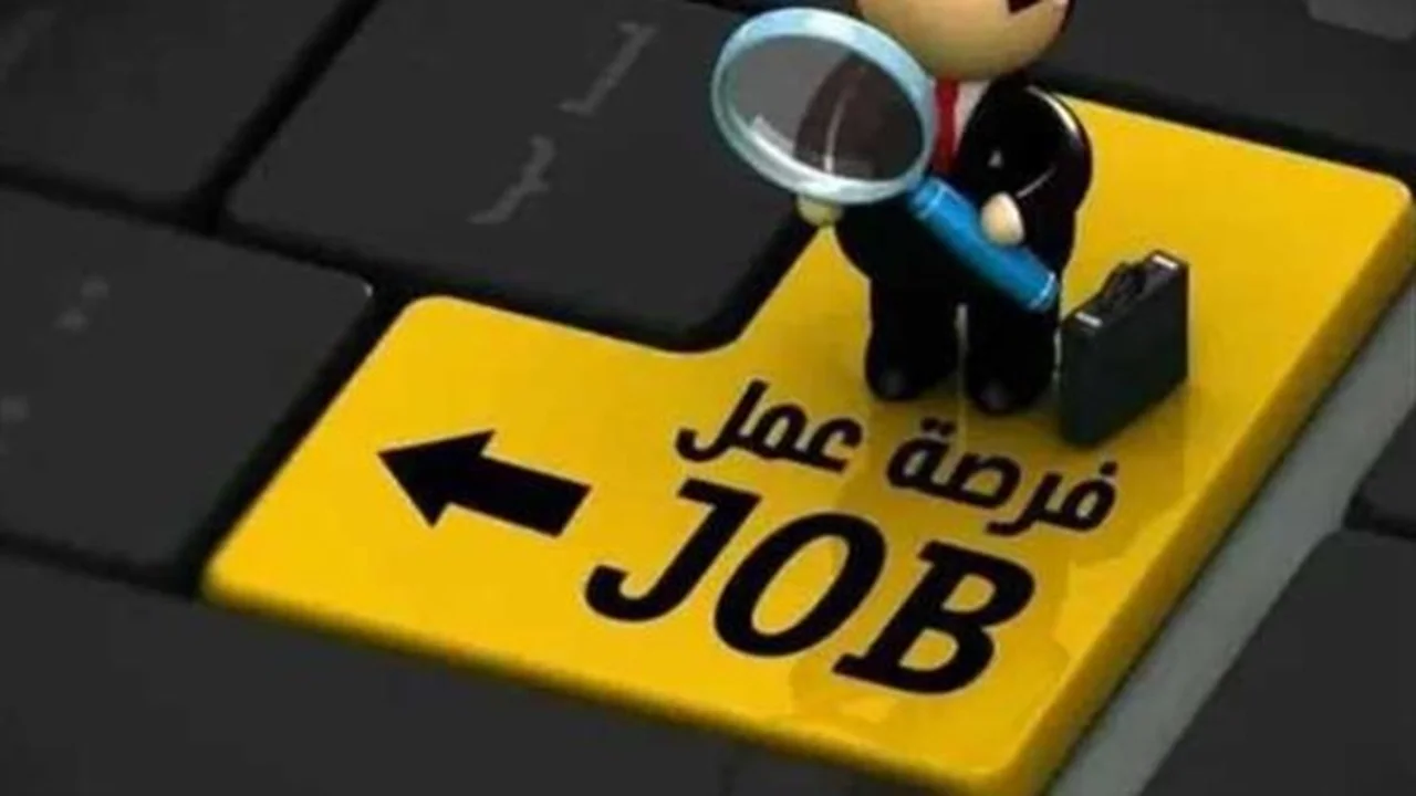 350 وظيفة سائق باص.. تعرف على الرواتب وطريقة التقديم